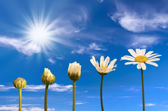 Lifecycle of an edtech press release