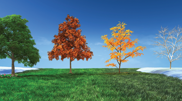 season-by-season buying guide