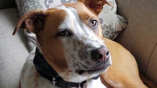 Kristen Plemon 02 Kristen Plemon 02