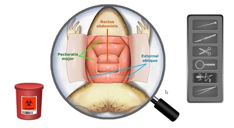 Odysseyware Virtual Science Labs Odysseyware Virtual Science Labs