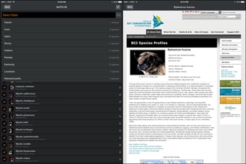 Wildlife Acoustics Echo Meter Touch