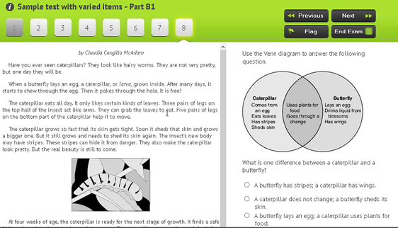 Naiku Product Review Naiku Product Review