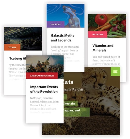 Kids Discover School Libraries