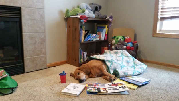 Kids Discover Canine Literacy April Fool Kids Discover Canine Literacy April Fool