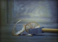 MyOn Pathways to College and Career