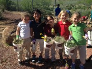 Defined STEM Accelerating Education