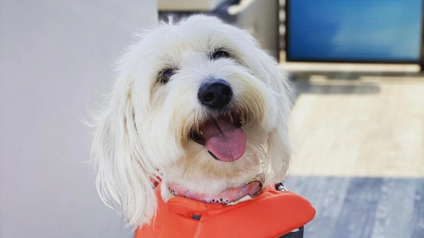 Megan Harrison 3 Megan Harrison 3