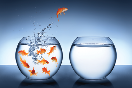 From the Newsroom to PR