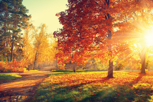 An Educator's Perpective on Being 'Sold To'