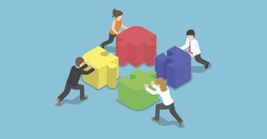 Insight Education Group