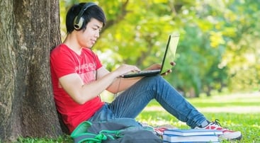 student-laptop-tree.jpg