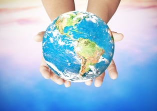 Insight Education Group