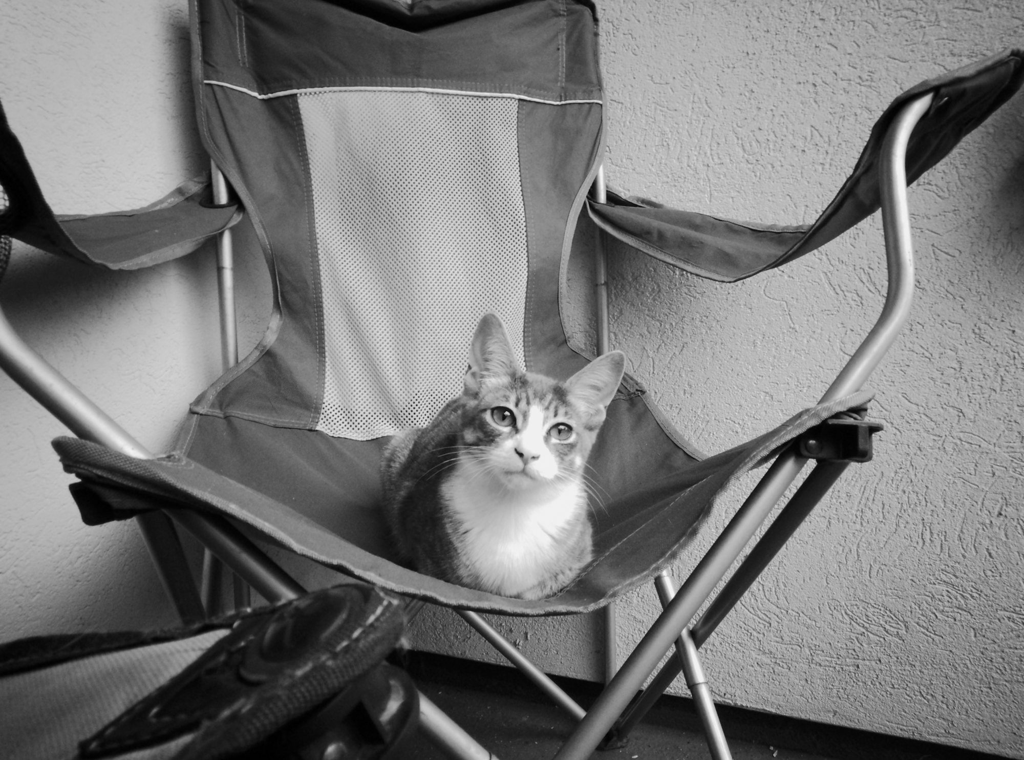 PST00123 1 PST00123 1